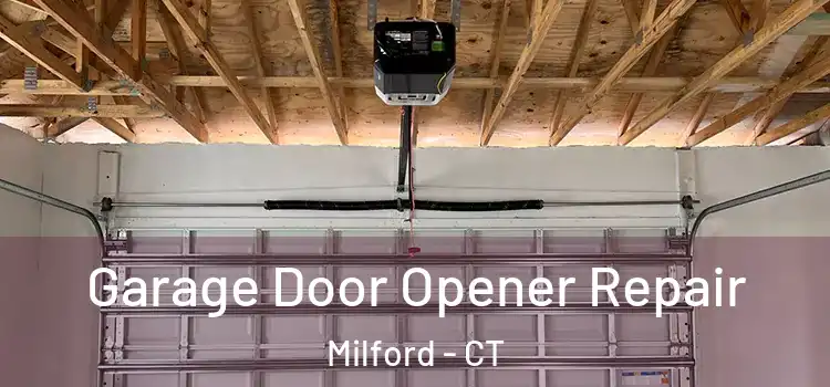  Garage Door Opener Repair Milford - CT