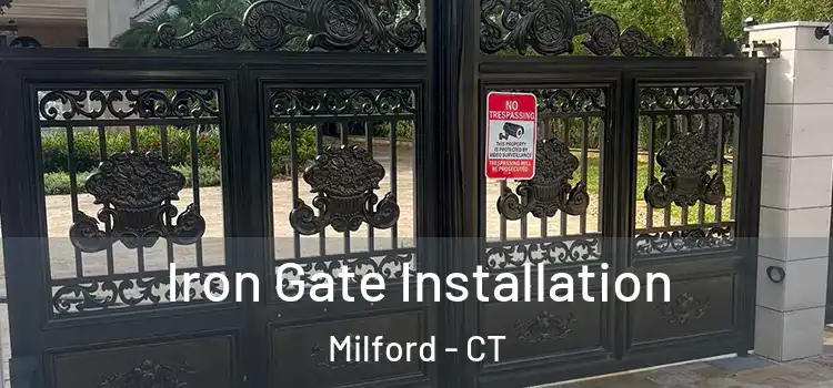 Iron Gate Installation Milford - CT